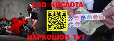 mdpv Краснознаменск