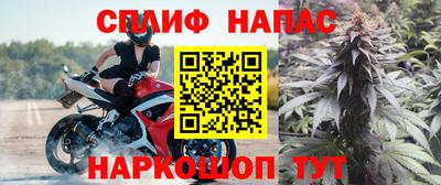 mdpv Краснознаменск
